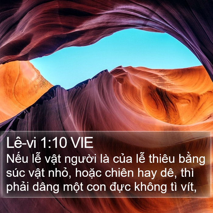 Lê-vi 1:10 VIE Bible Study