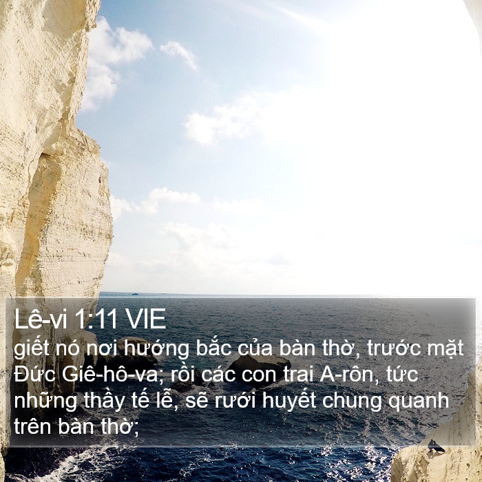 Lê-vi 1:11 VIE Bible Study