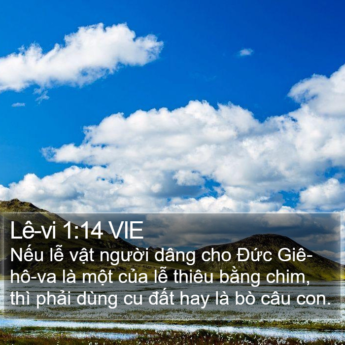 Lê-vi 1:14 VIE Bible Study