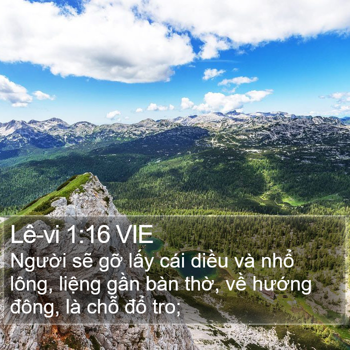 Lê-vi 1:16 VIE Bible Study