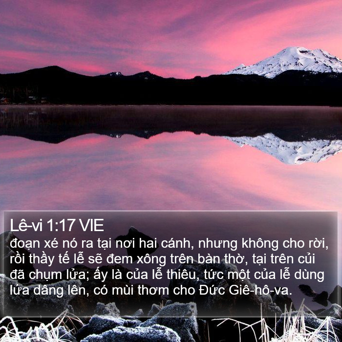 Lê-vi 1:17 VIE Bible Study