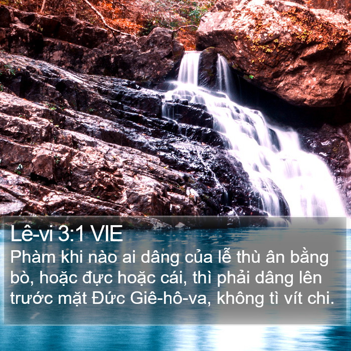 Lê-vi 3:1 VIE Bible Study