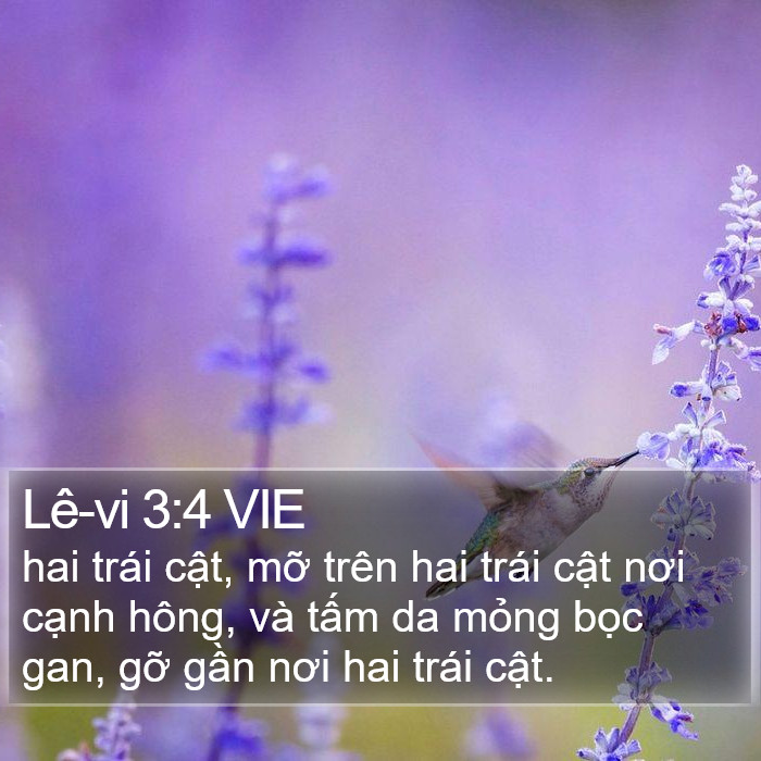 Lê-vi 3:4 VIE Bible Study