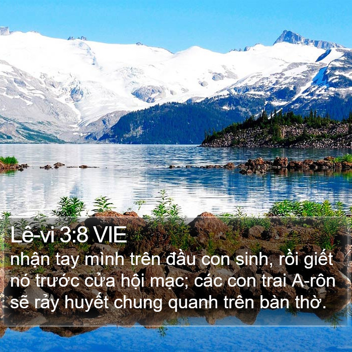 Lê-vi 3:8 VIE Bible Study