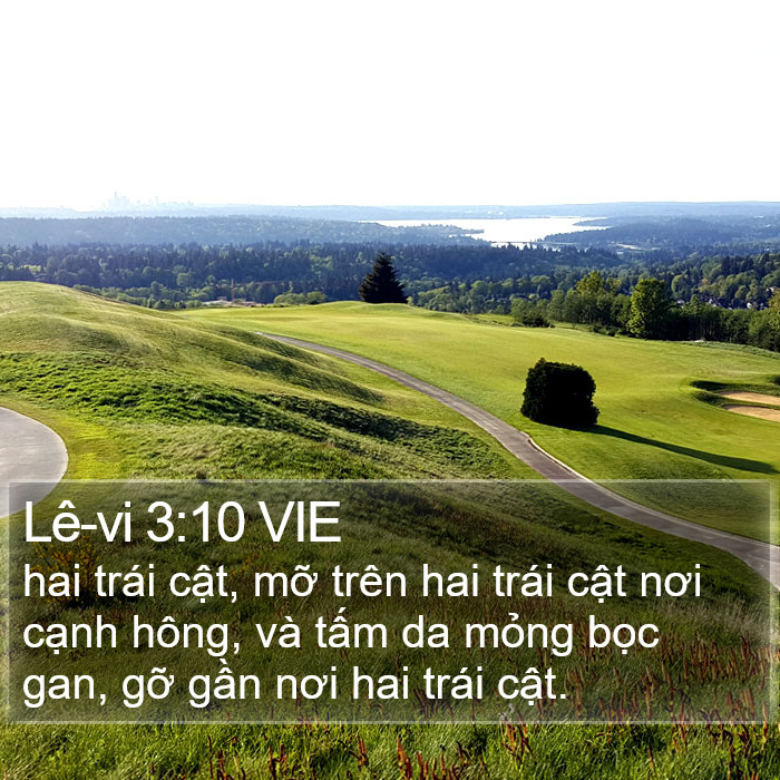 Lê-vi 3:10 VIE Bible Study