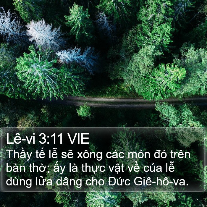 Lê-vi 3:11 VIE Bible Study