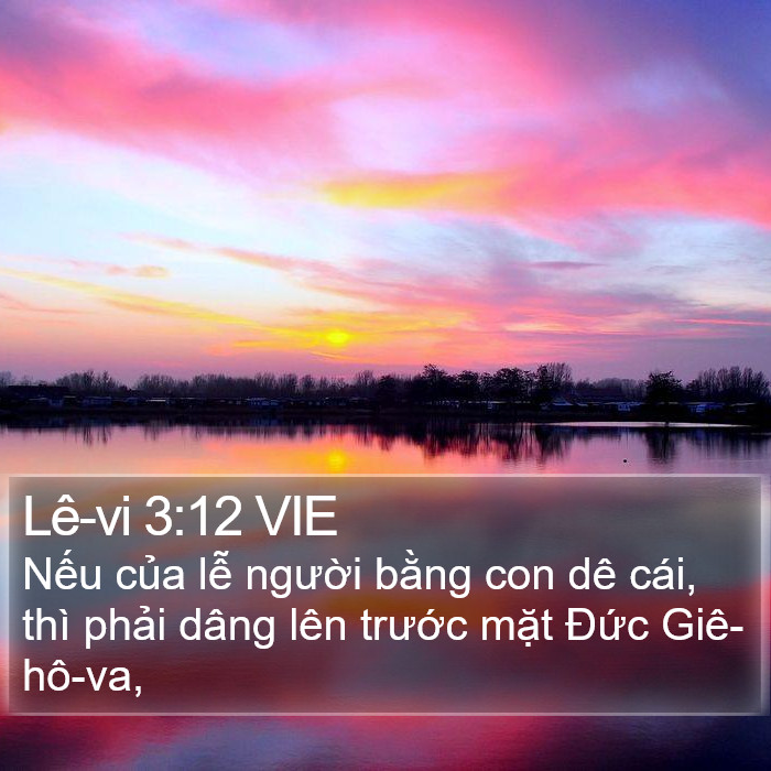 Lê-vi 3:12 VIE Bible Study