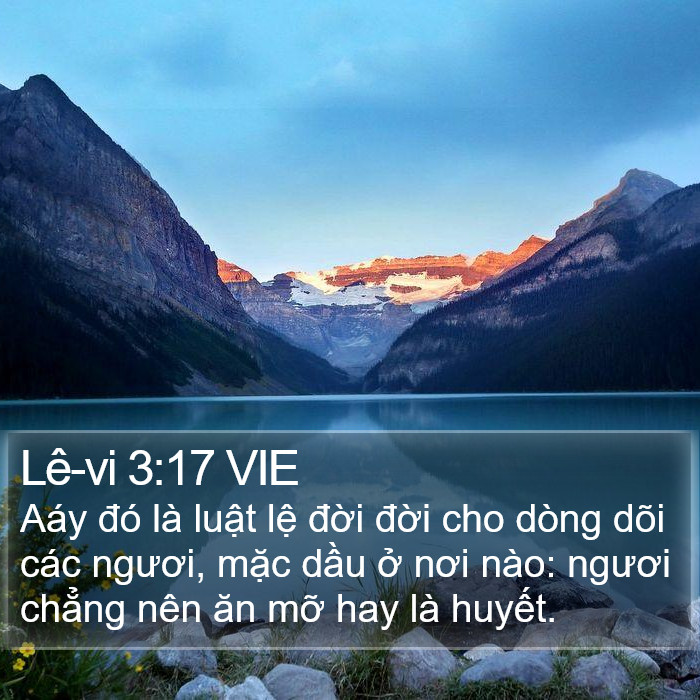 Lê-vi 3:17 VIE Bible Study