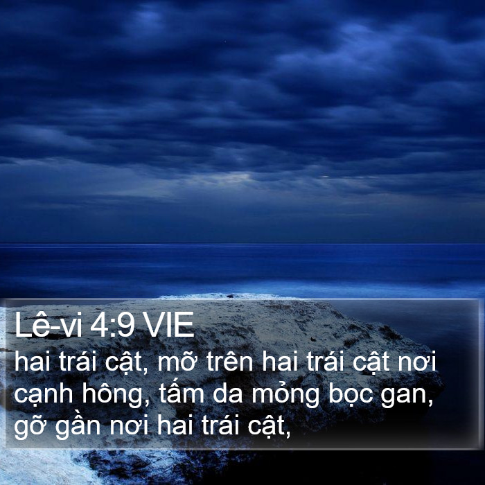 Lê-vi 4:9 VIE Bible Study