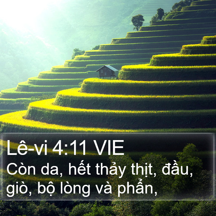 Lê-vi 4:11 VIE Bible Study