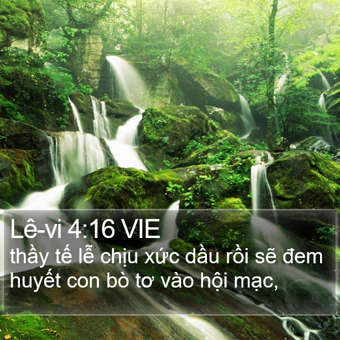Lê-vi 4:16 VIE Bible Study
