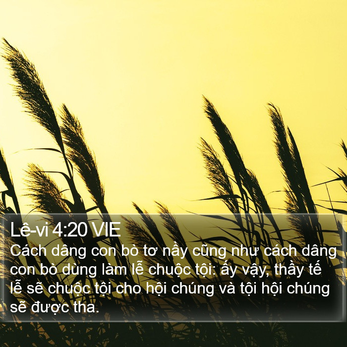 Lê-vi 4:20 VIE Bible Study