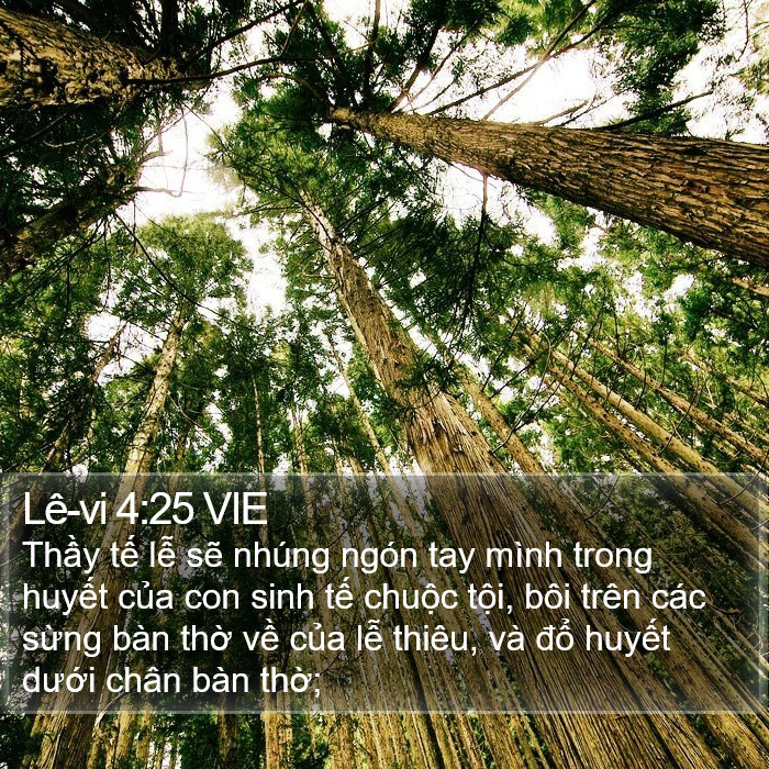 Lê-vi 4:25 VIE Bible Study