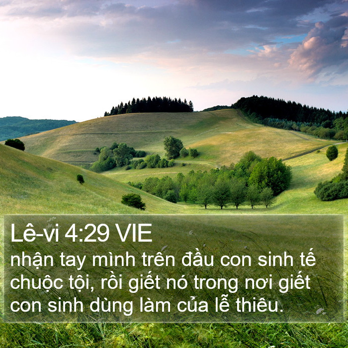 Lê-vi 4:29 VIE Bible Study