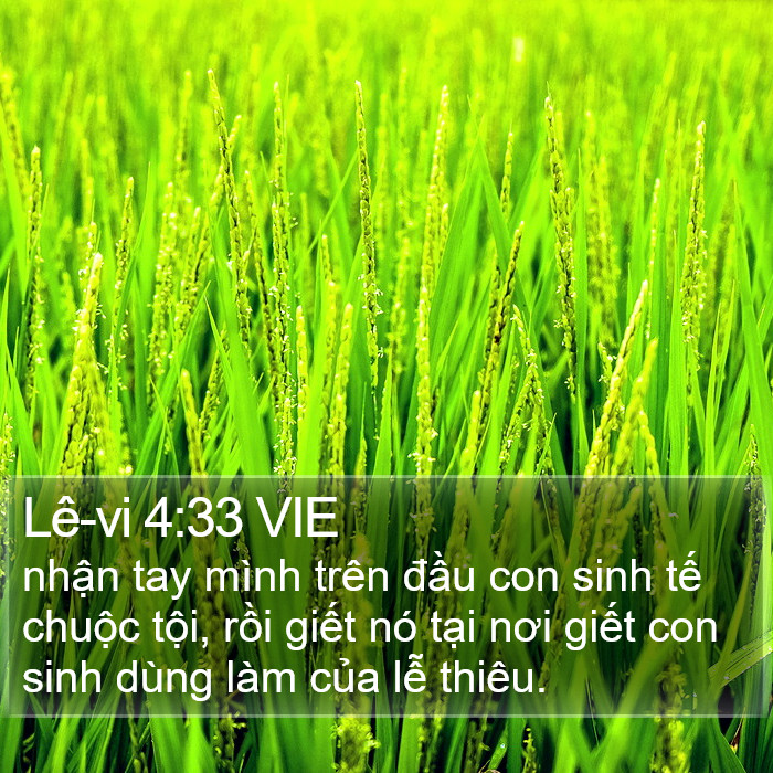 Lê-vi 4:33 VIE Bible Study
