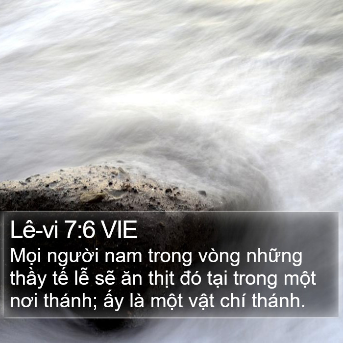 Lê-vi 7:6 VIE Bible Study