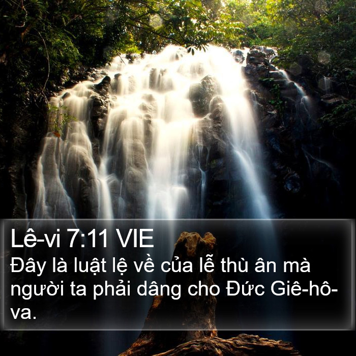 Lê-vi 7:11 VIE Bible Study