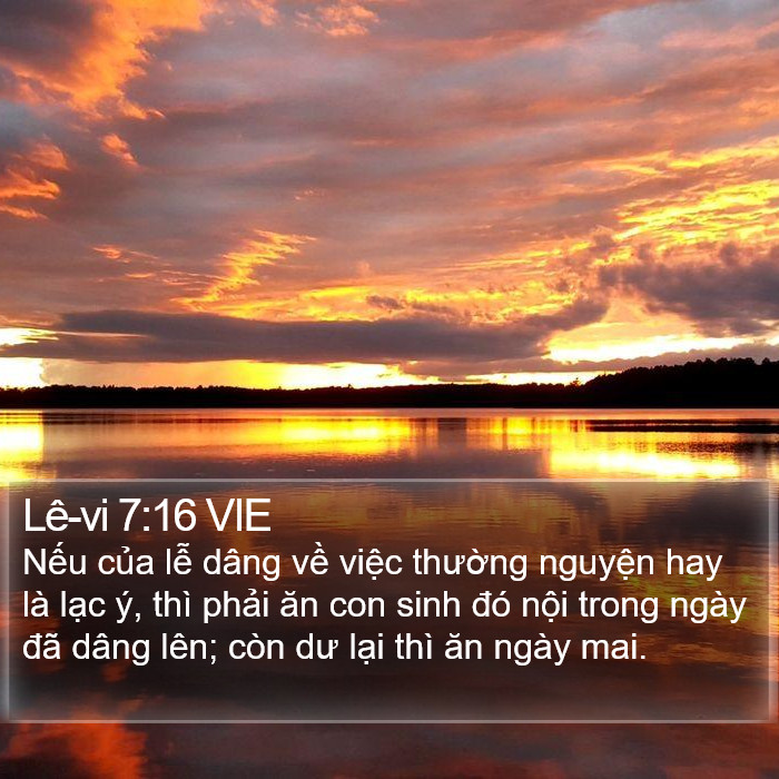 Lê-vi 7:16 VIE Bible Study