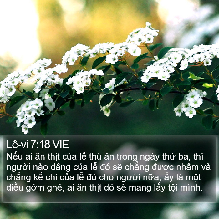 Lê-vi 7:18 VIE Bible Study