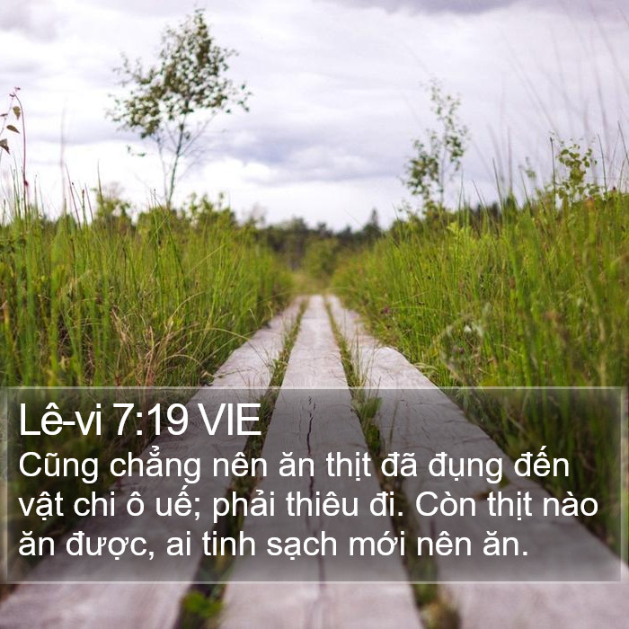 Lê-vi 7:19 VIE Bible Study