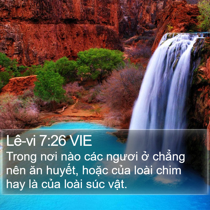 Lê-vi 7:26 VIE Bible Study