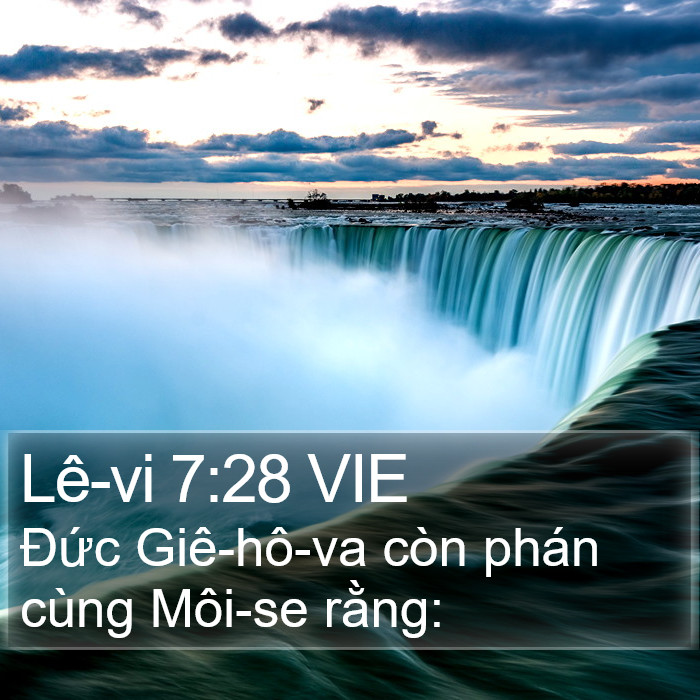 Lê-vi 7:28 VIE Bible Study