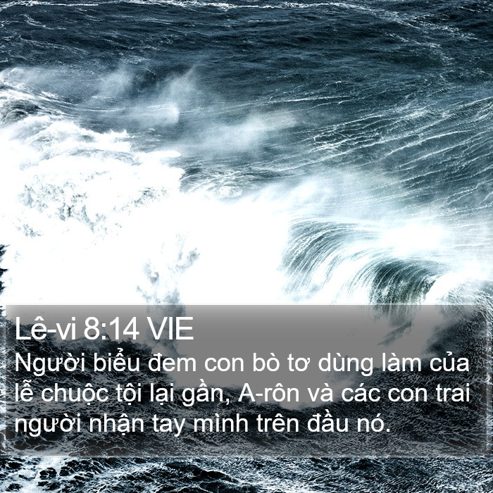 Lê-vi 8:14 VIE Bible Study