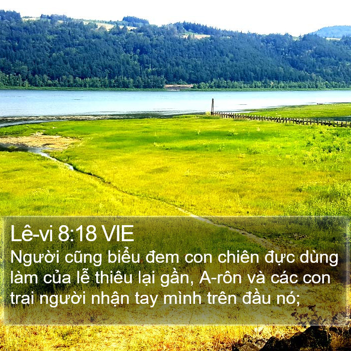 Lê-vi 8:18 VIE Bible Study