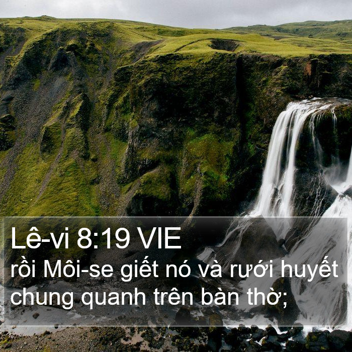 Lê-vi 8:19 VIE Bible Study