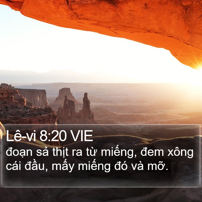 Lê-vi 8:20 VIE Bible Study