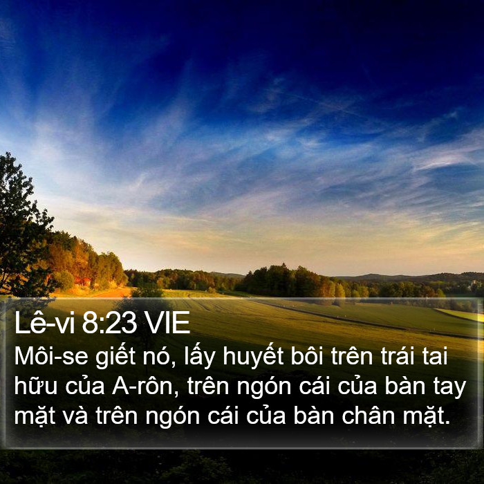 Lê-vi 8:23 VIE Bible Study