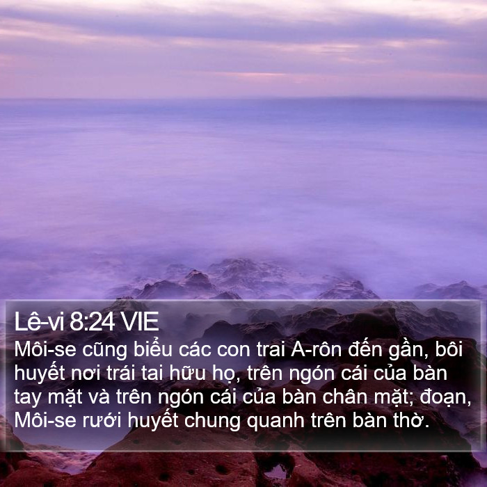 Lê-vi 8:24 VIE Bible Study