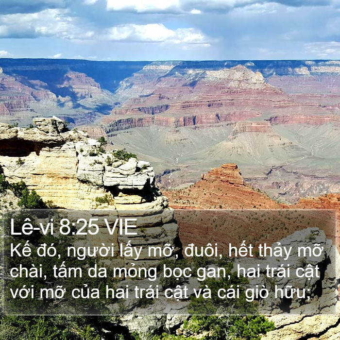 Lê-vi 8:25 VIE Bible Study