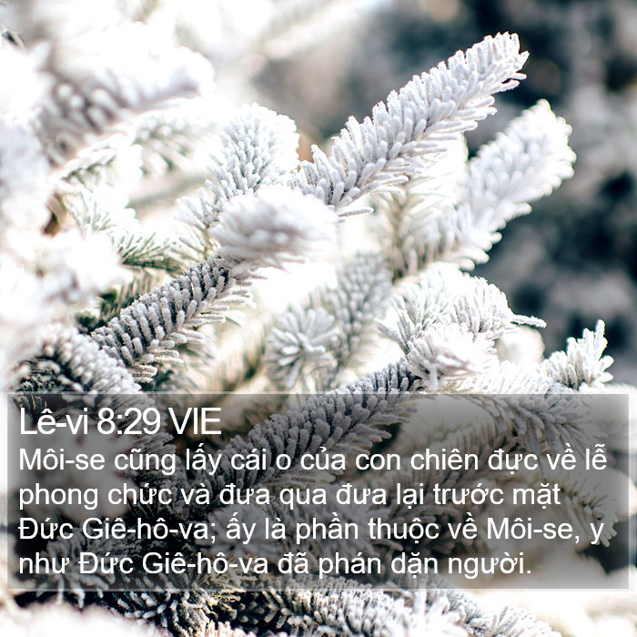 Lê-vi 8:29 VIE Bible Study