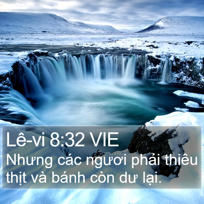 Lê-vi 8:32 VIE Bible Study