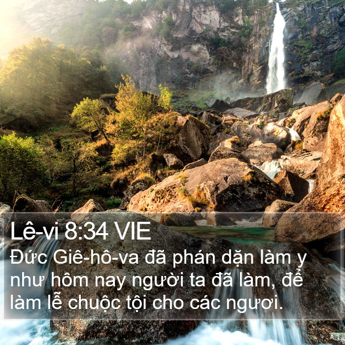Lê-vi 8:34 VIE Bible Study