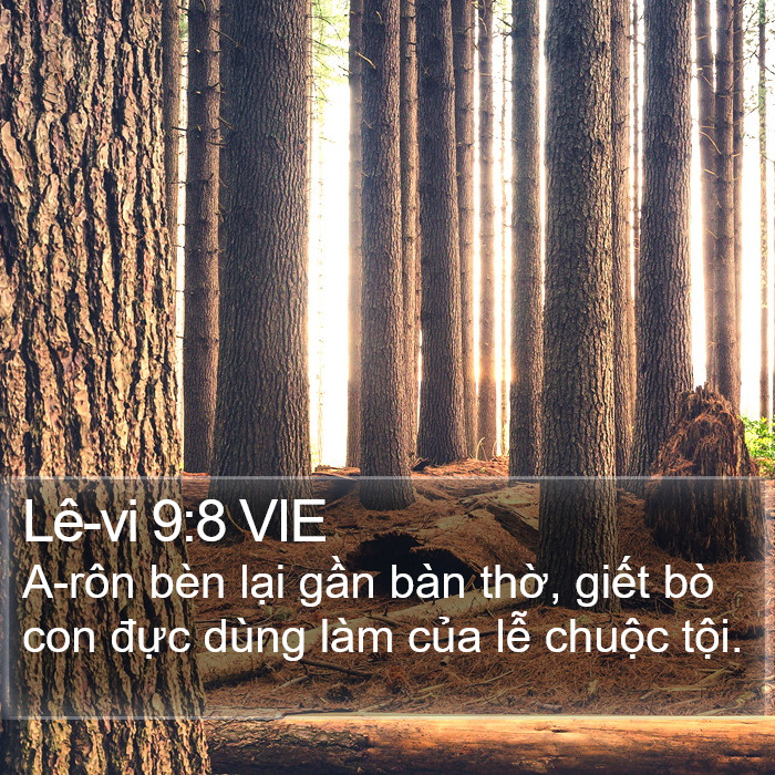 Lê-vi 9:8 VIE Bible Study