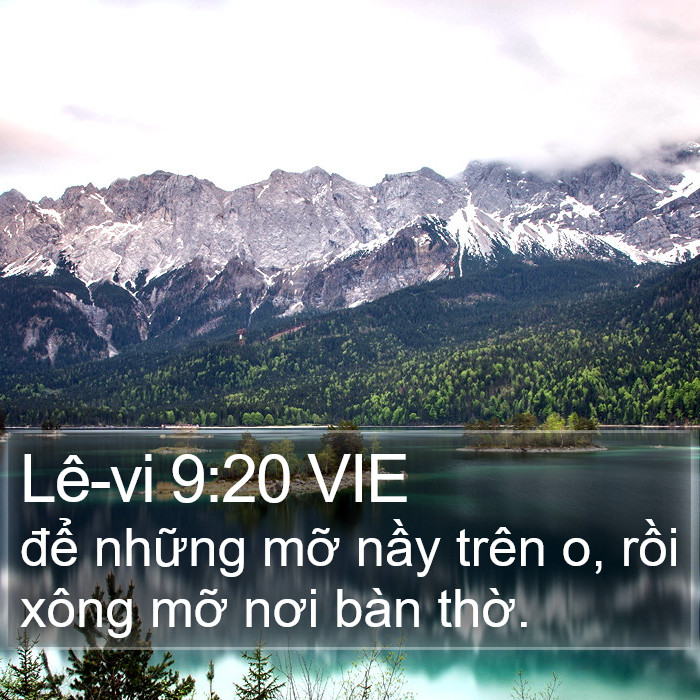 Lê-vi 9:20 VIE Bible Study