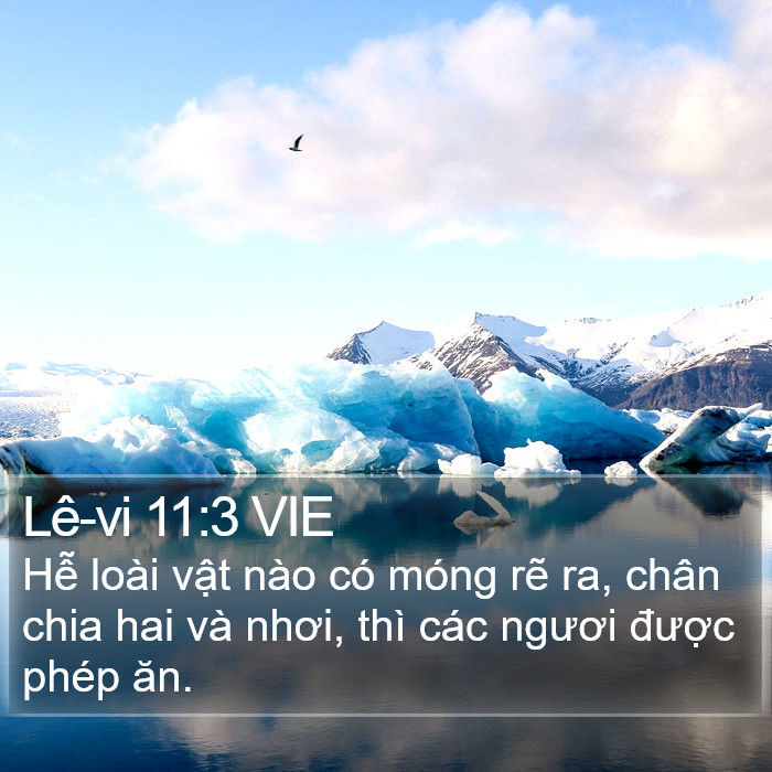 Lê-vi 11:3 VIE Bible Study