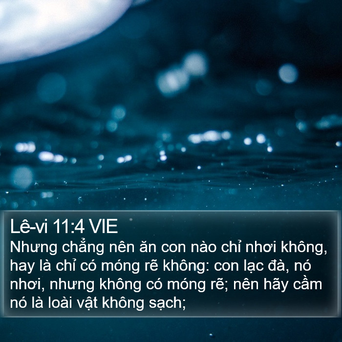 Lê-vi 11:4 VIE Bible Study