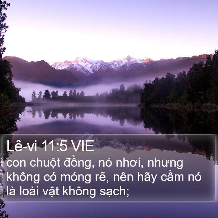 Lê-vi 11:5 VIE Bible Study