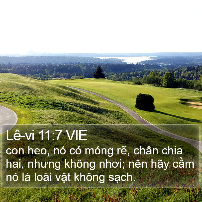 Lê-vi 11:7 VIE Bible Study