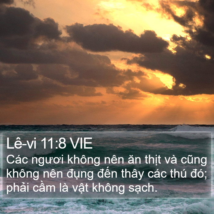 Lê-vi 11:8 VIE Bible Study