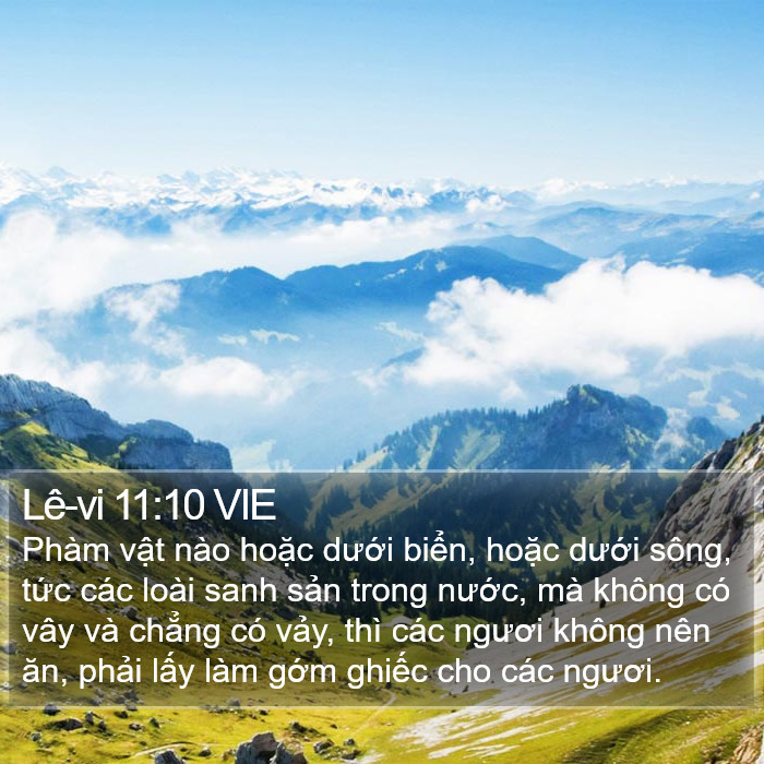 Lê-vi 11:10 VIE Bible Study