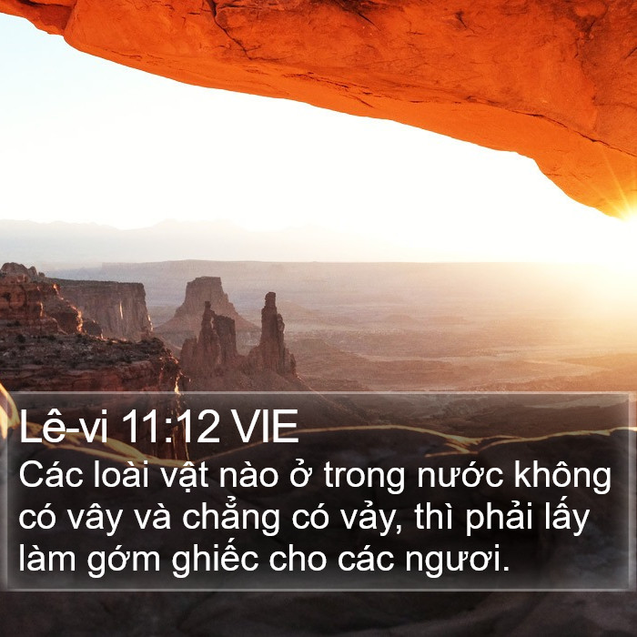 Lê-vi 11:12 VIE Bible Study