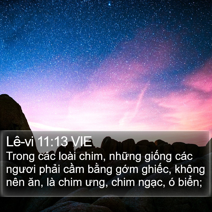 Lê-vi 11:13 VIE Bible Study