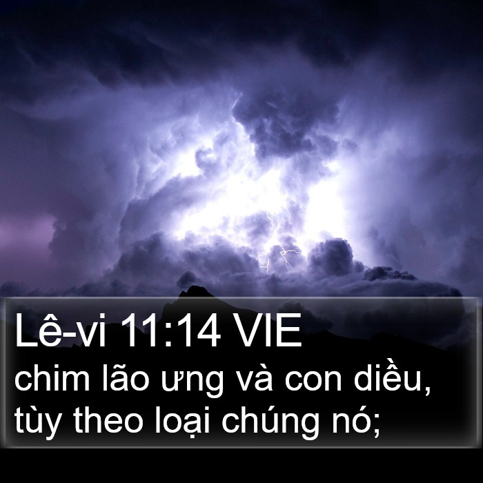 Lê-vi 11:14 VIE Bible Study