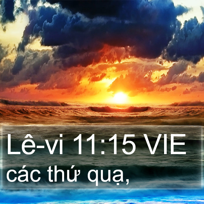 Lê-vi 11:15 VIE Bible Study