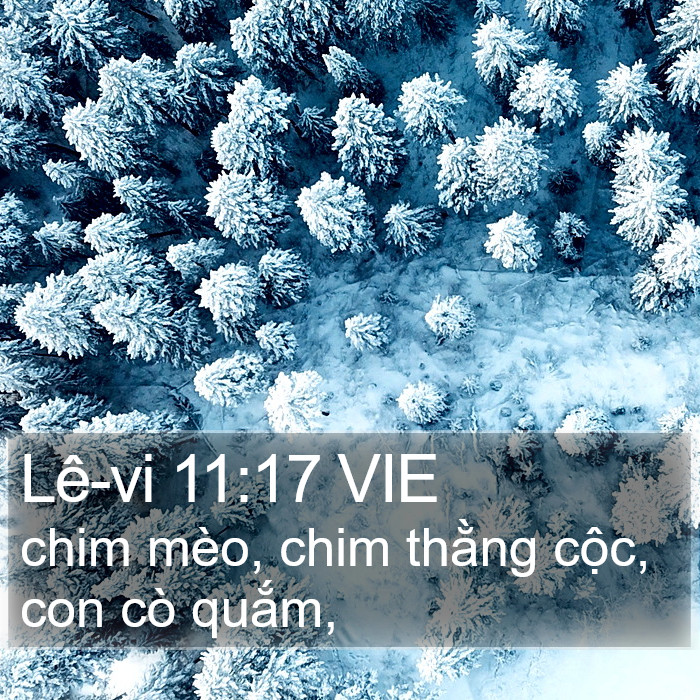 Lê-vi 11:17 VIE Bible Study