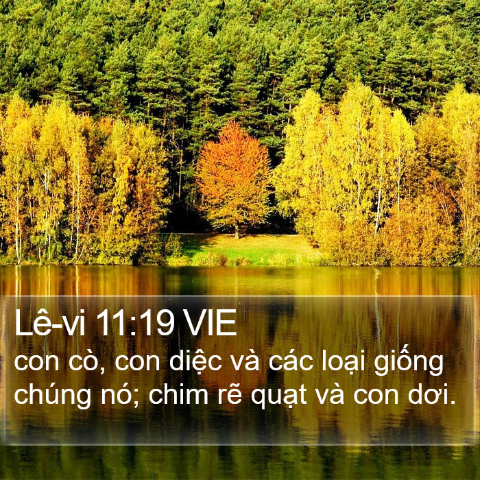 Lê-vi 11:19 VIE Bible Study